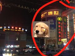 -海都六福酒家(世博广场店)
