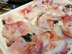 招牌鲜鱼片-淘米捞·米汤脆鲩鱼火锅(福田皇岗店)
