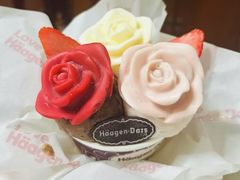 -哈根达斯(龙湖时代天街店)