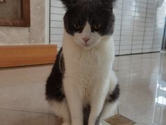 -Catmate·猫肥家润(金润铂宫店)