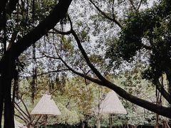 -广州长隆野生动物世界