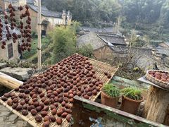 -杨家堂村