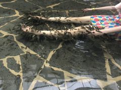 -龙达温泉生态城
