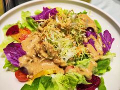 蔬菜沙拉-沽上民肴·海鲜锅贴·天津菜(福州道鸿正家园店)