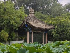 -莲湖公园