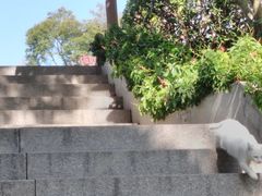 -鸿山公园