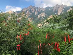 -崂山九水游览区