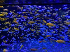 -成都浩海立方海洋公园