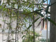 -宴南庭·闽味私房菜