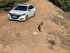 -鄂尔多斯野生动物园