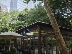 -静安公园(静安寺街道)
