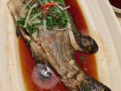 龙趸石斑鱼-湖锦酒楼·旗舰店(三阳总店)