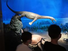 -贝林大翅鲸简餐厅(国家海洋博物馆店)