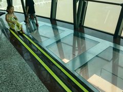 -澳门旅游塔360°旋转餐厅(南湾湖广场店)