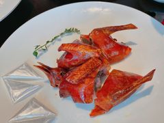 -甄御•海鲜新青岛菜(麦岛店)