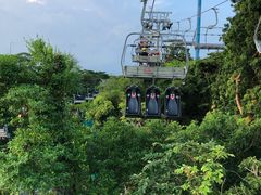 -圣淘沙天际线斜坡滑车