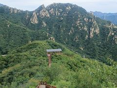 -大岭沟猕猴桃谷风景区