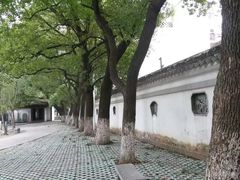 -孺子亭公园