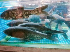 -常和州·夜宵大排档(常州单店)