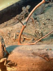 -酷嗒动物文化乐园(cutezoo西溪乐天城店)