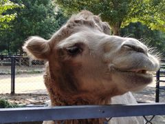 -长白岛森林公园