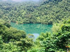 -鼎湖山风景区