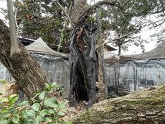 -兴福老面馆(寺路街店)