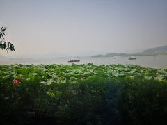 -湖畔居茶楼(湖滨店)