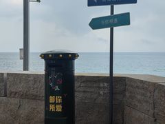 -杨梅坑
