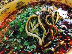 -乐山第一家临江鳝丝(茶坊路店)