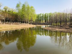 -东郊湿地公园