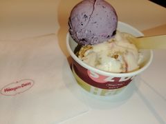 蓝莓冰激凌-哈根达斯(陆家浜路店)