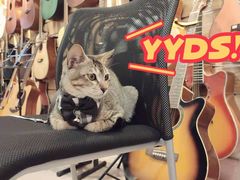 -旅程琴行吉他培训·吉他专卖