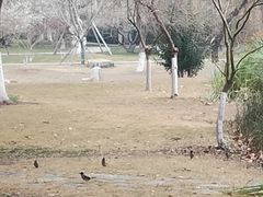 -堤角公园