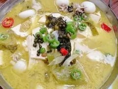 藤椒墨鱼仔-艳阳度假酒店·餐厅