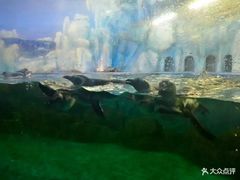 -常州海昌海洋探索馆