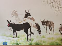 -小叫驴养生驴肉火锅(龙游店)