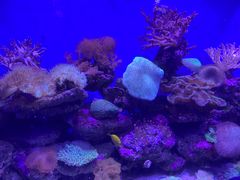 -青岛海底世界-水族馆