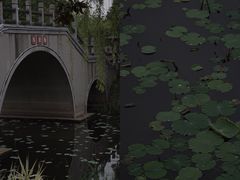 -尚贤河湿地