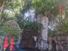 -广州市流溪河国家森林公园