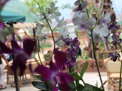 -火咂咂竹筒宴(告庄店)