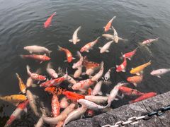 -东部华侨城