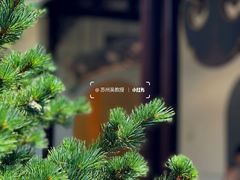 -西园寺