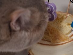 -DRUNK BAKER(上海陕康里店)