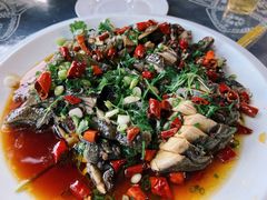 惠风炝香鸡-古道惠风饭庄