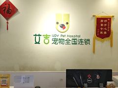 -艾吉宠物医院·疑难杂症转诊中心·猫友好(碧江路院)