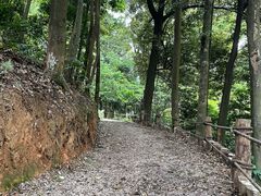 -广州市帽峰山景区