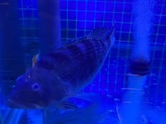 -温度餐厅潮汕砂锅粥(方正2009南区店)