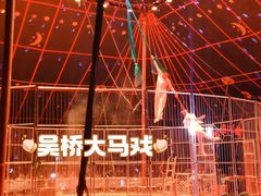-吴桥杂技大世界