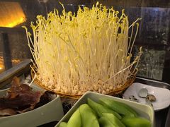 -巴倒烫陆派火锅山庄(南山总店)